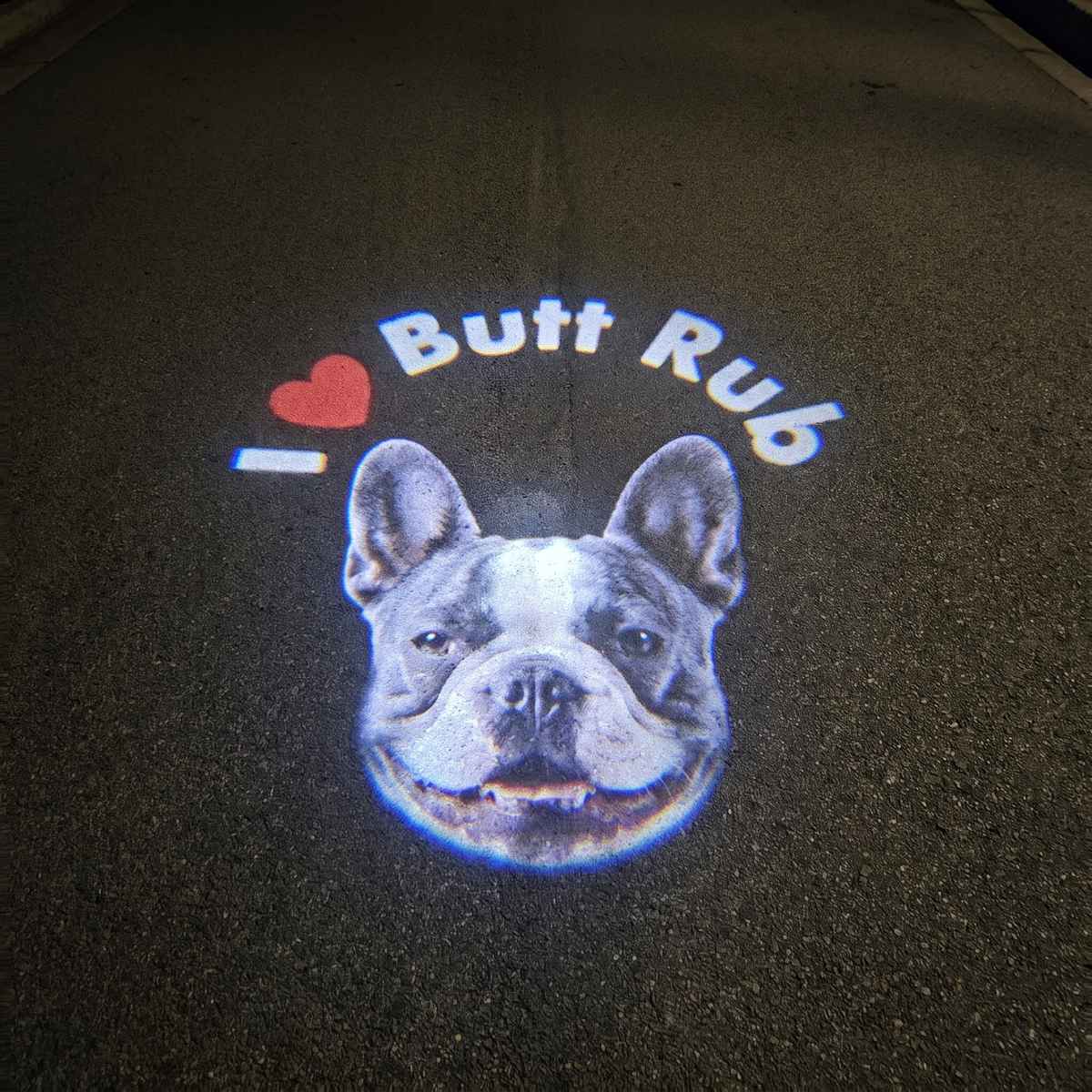 GlowTrack Leash - Turn Every Night Walk Into a Red Carpet Event