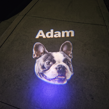 GlowTrack Leash - Turn Every Night Walk Into a Red Carpet Event