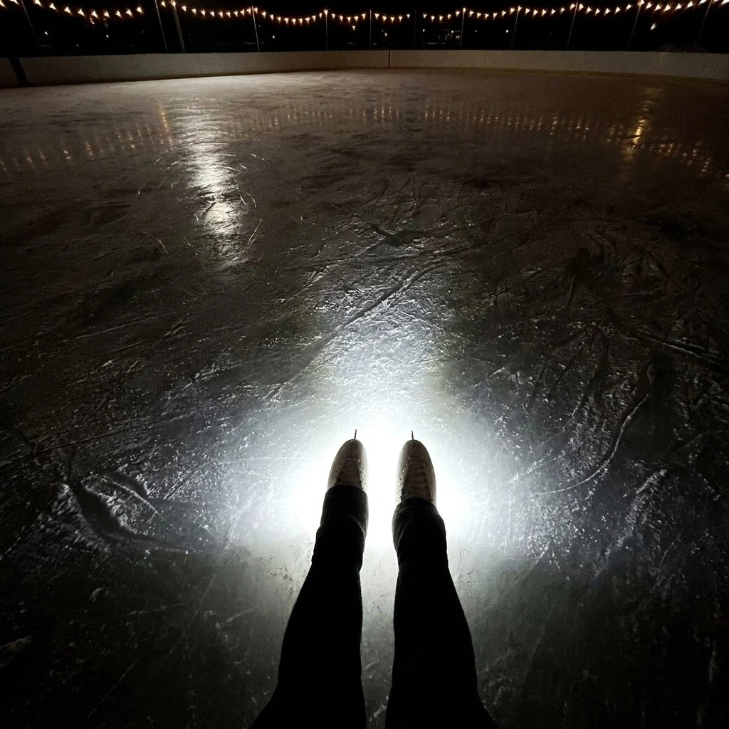 files/review-pov-rink.webp